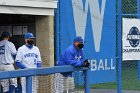 Baseball vs CGA  Wheaton College Baseball vs Coast Guard Academy during game one of the NEWMAC semi-finals playoffs. - (Photo by Keith Nordstrom) : Wheaton, baseball, NEWMAC